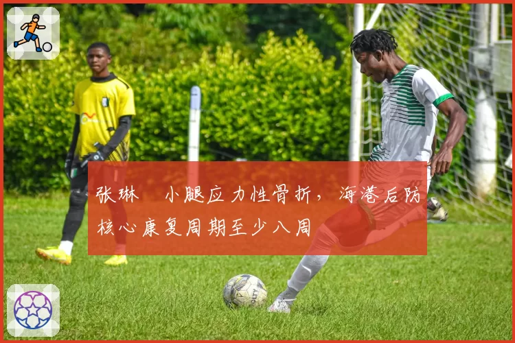 张琳芃小腿应力性骨折，海港后防核心康复周期至少八周