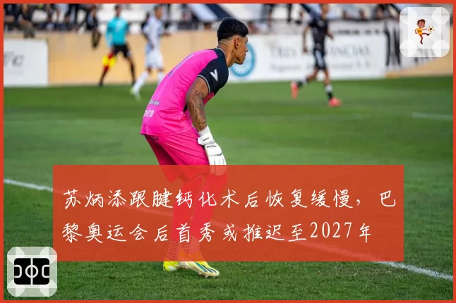 苏炳添跟腱钙化术后恢复缓慢，巴黎奥运会后首秀或推迟至2027年