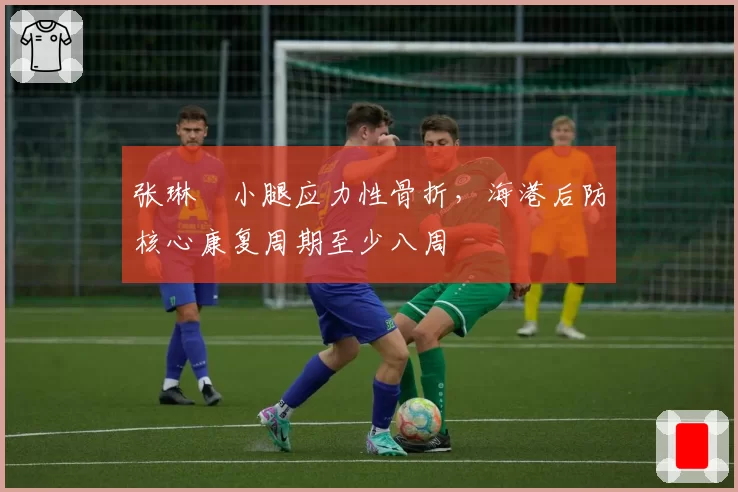 张琳芃小腿应力性骨折，海港后防核心康复周期至少八周